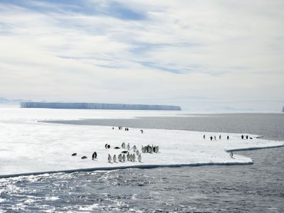 Im Rossmeer (© Delphine Aures/Oceanwide Expeditions)
