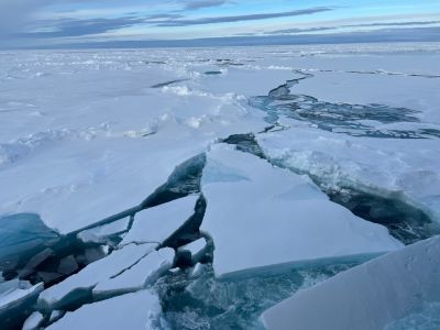 Fahrt durcks Packeis (© Kerstin Stock)