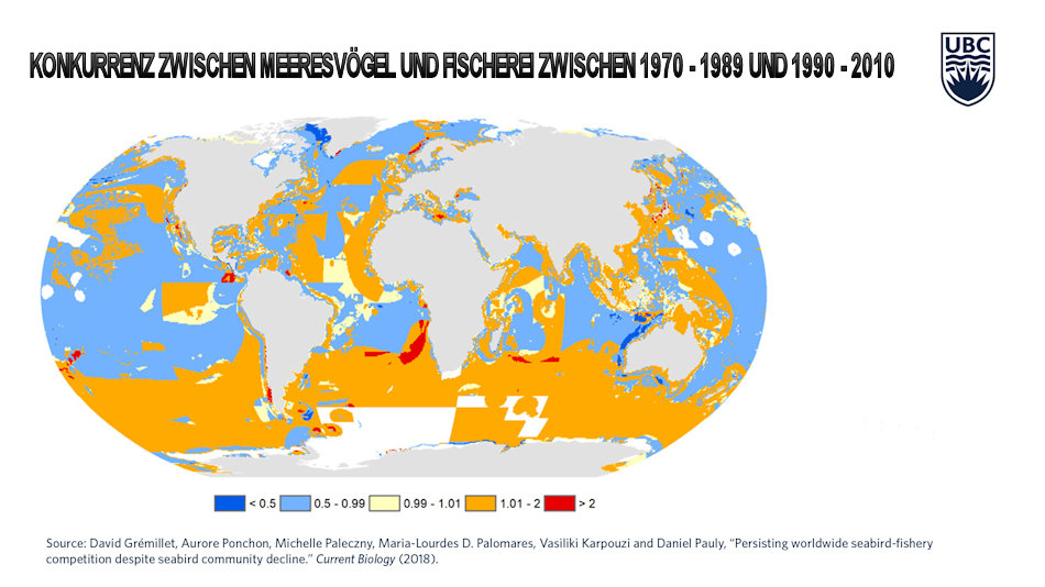 Die von den Forschern erstellte Karte zeigt klar, dass in den vergangenen 40 Jahren die Konkurrenz zwischen Fischerei und Vogelarten massiv angestiegen ist. Besonders im Südpolarmeer ist der Druck grösser geworden (orange, rot). Bild: Grémillet et al. (2018) Current Biology