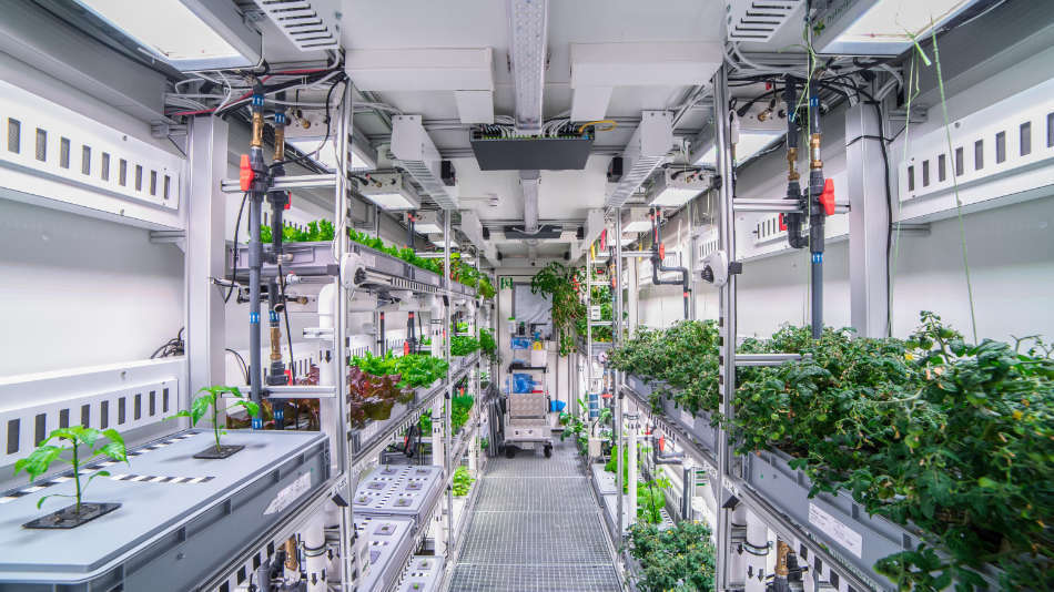 EDEN-ISS-Gewächshaus unter Polarlichtern (DLR)