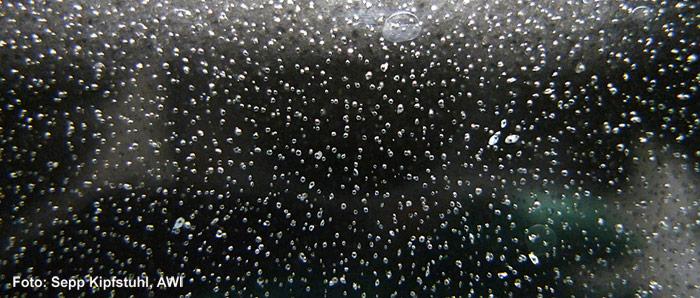 In diesem Dünnschnitt eines Eiskerns ist jahrtausende alte Luft eingeschlossen. Die Analyse lässt Rückschlüsse auf die Gaszusammensetzung in der Erdgeschichte zu, so beispielsweise den Gehalt von Kohlenstoffdioxid.