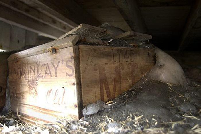 Shackleton liebte Whiskey