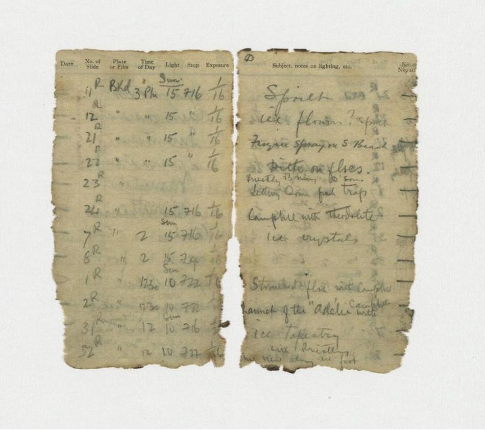 Die Auszüge aus dem Notizbuch zeigen einen Eintrag von Levick: Priestley, Dickason und Browning beim Aussetzen einer Fischfalle und Campbell mit dem Theodoliten. © NZAHT