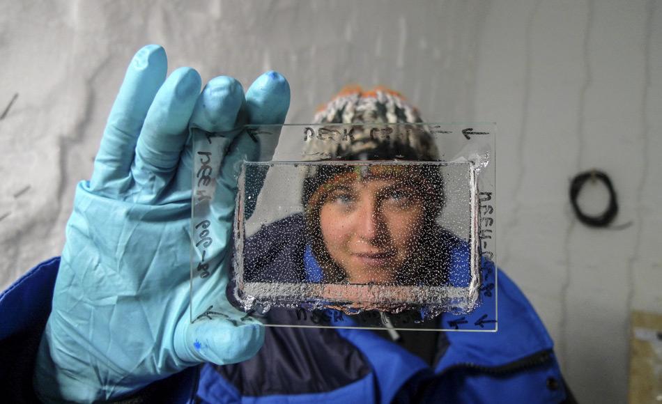 Das Eis wird mit zunehmender Bohrtiefe immer transparenter. Bis in 1.000 m Tiefe erscheint das Eis als Folge der Luftblasen milchig grau. Unterhalb von 1.200 bis 1.300 m Tiefe ist das Eis transparent wie Plexiglas. (Foto: Sepp Kipfstuhl, AWI)