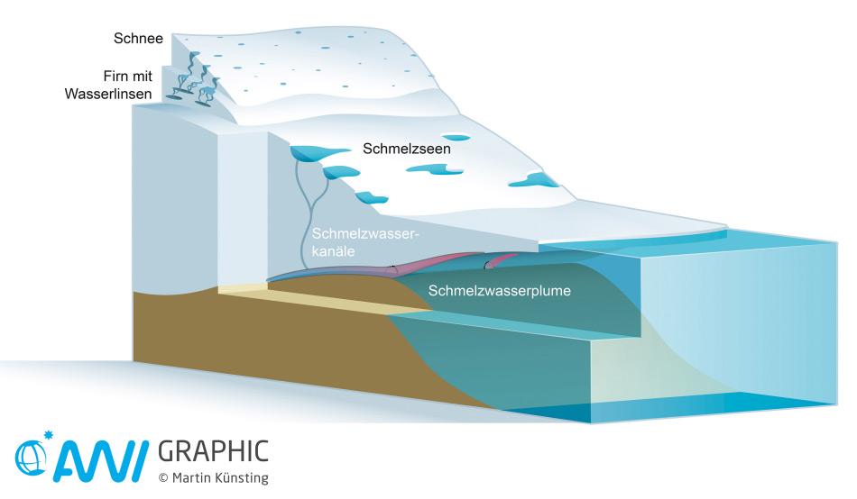Gletscher mit einer schwimmenden Eiszunge findet man hauptsächlich im Norden Grönlands. Sie verlieren Masse vor allem an der Ober- und Unterseite. An der Oberfläche schmilzt das Eis aufgrund der wärmer werdenden Luft; an der Gletscherunterseite aufgrund des wärmer werdenden Meerwassers. Grafik: Martin Künsting/Alfred-Wegener-Institut CC-BY 4.0