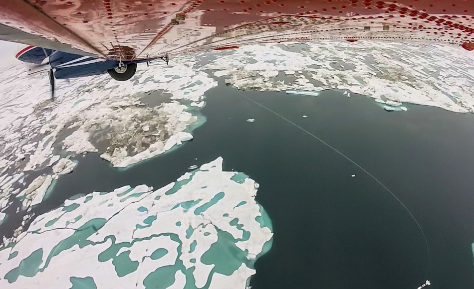 Das Flugzeug des AWI wurde benutzt, um die Meereisdicke mit Hilfe von Radar zu messen. Bild: E. Horvath