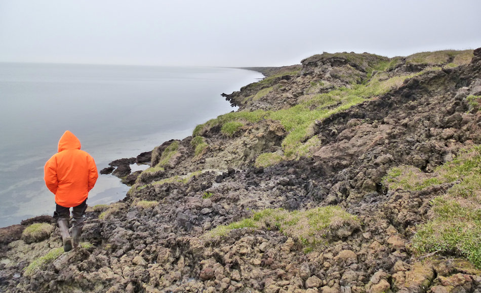 Durch das Auftauen des Bodens wird dieser an den Ufern von Seen und an den Küsten wegerodiert. Dadurch verringert sich nicht nur die Landmasse, sondern es werden auch noch mehr Treibhausgase freigesetzt und die Wasserkörper mit chemisch und physikalisch stark verändert. Bild: Ingmar Nitze