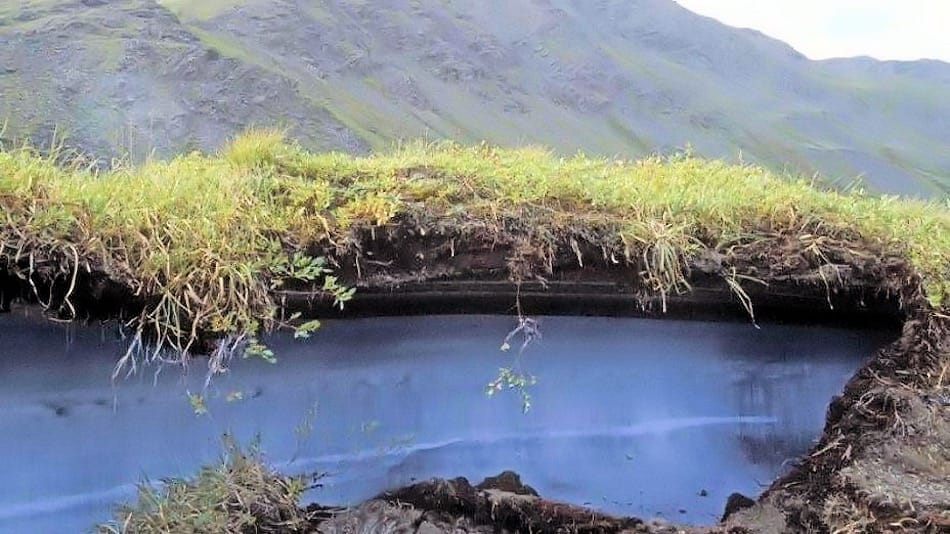 Der Permafrost im Boden der arktischen Regionen ist nichts anderes als gefrorene Staunässe, die durch die andauernde Kälte und den Isolationseffekt des Bodes bisher geschützt gewesen war. Auf diesem harten Untergrund konnte alles stabil gebaut werden… bis jetzt. Bild: Frankfurter Rundschau / Picture Alliance / Wildlife