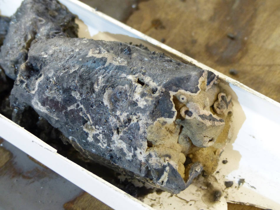 Teil eines Bohrkerns vom Vestnesa-Rücken mit gut sichtbarem Seep-Karbonat.Foto: MARUM – Zentrum für Marine Umweltwissenschaften, Universität Bremen