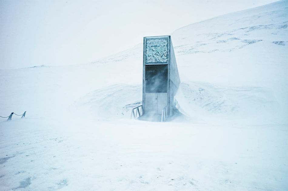 Wildblumen von Prinz Charles Anwesen und heiliger Mais der Cherokee lagert neu in diesem sog. „Doomsday Vault“ unter der Erde Svalbards. (Foto: Svalbard Global Seed Vault/Matthias Heyde)