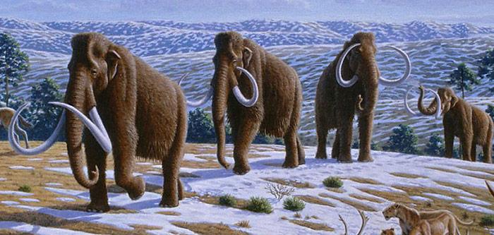 Gibt es bald wieder Mammuts?