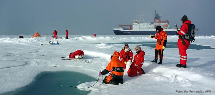 «Polarstern» bringt aktuelle Erkenntnisse