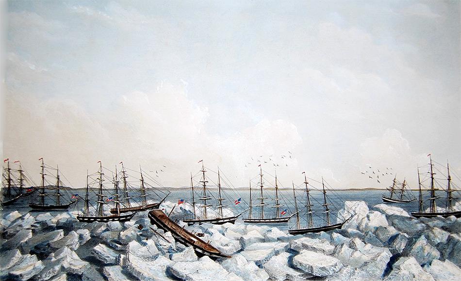 Überreste von US-Walfangschiffen vor der Küste Alaska wiedergefunden