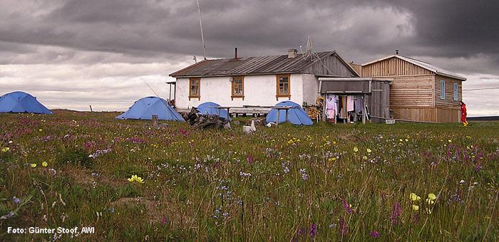 Putin auf der Samoylow-Station